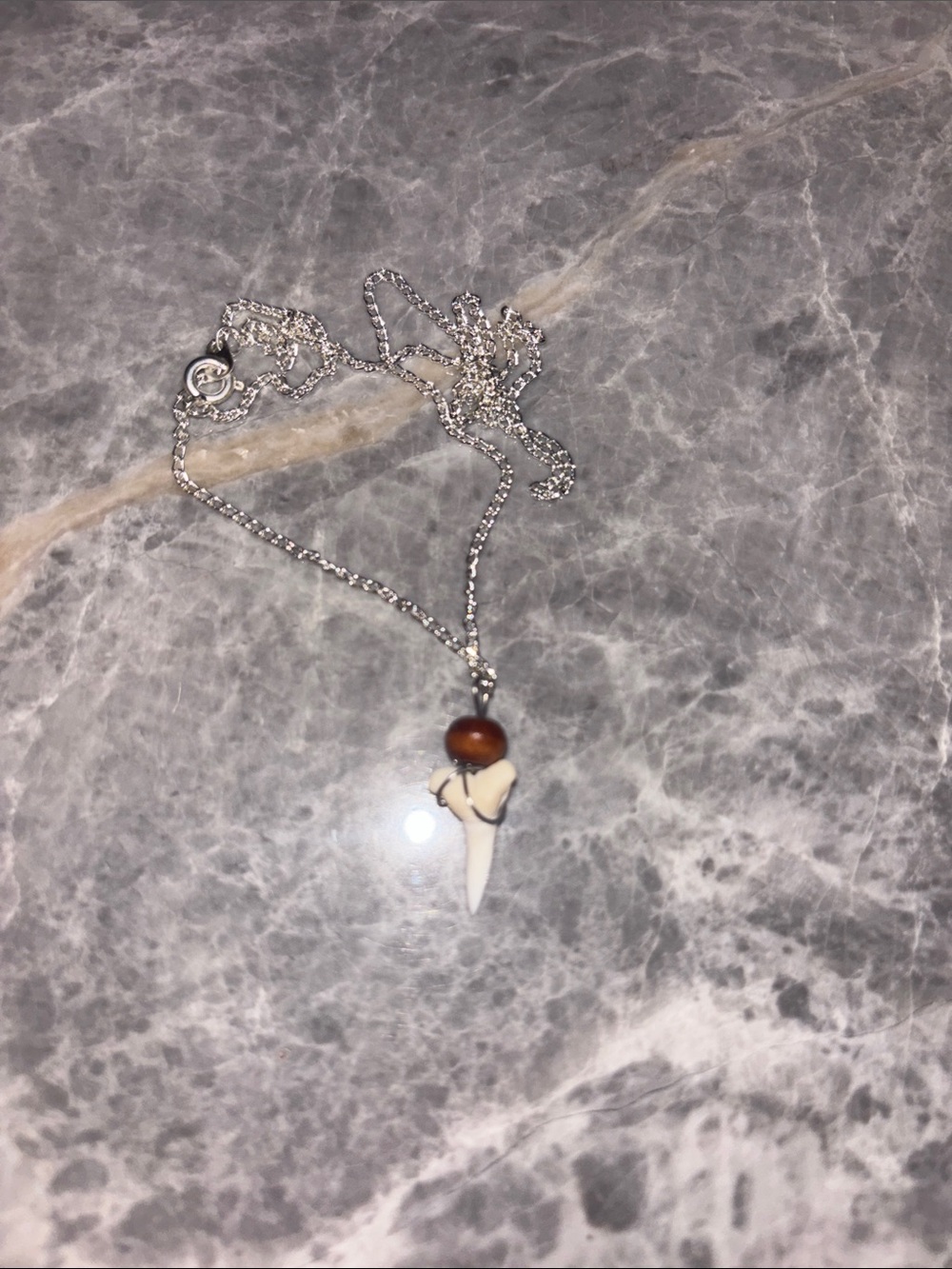 Shark Tooth Necklace